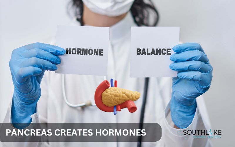 Pancreas hormone production process regulating blood sugar levels.