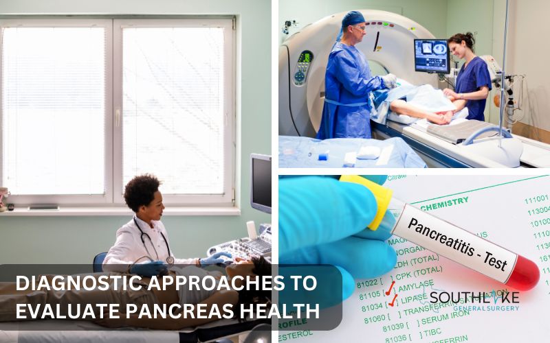 Various diagnostic tools like CT scan, MRI, and blood tests for assessing pancreas health.